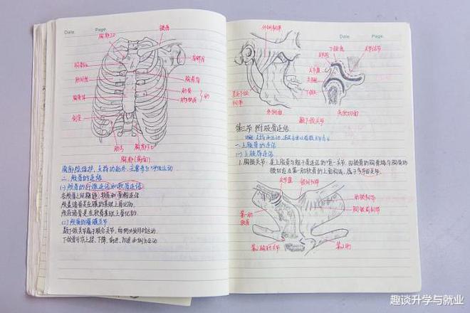 赢博体育学霸常用的3种高效进修要领学渣无法了解值得中等考生模仿(图3)